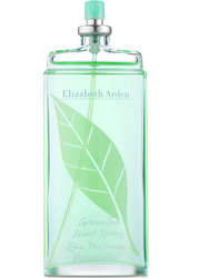Elizabeth Arden Green Tea Scent Spray woda toaletowa EDT 100ml